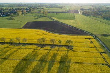 İnsansız hava araçları bir tecavüz alanının üzerinde uçuyor.