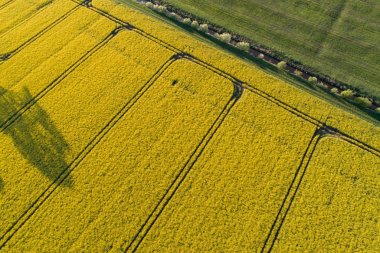 İnsansız hava araçları bir tecavüz alanının üzerinde uçuyor.