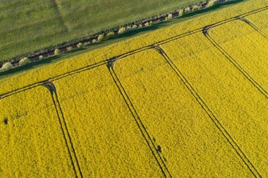 İnsansız hava araçları bir tecavüz alanının üzerinde uçuyor.