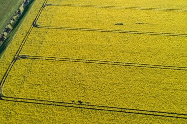 İnsansız hava araçları bir tecavüz alanının üzerinde uçuyor.