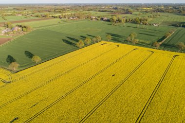 İnsansız hava araçları bir tecavüz alanının üzerinde uçuyor.