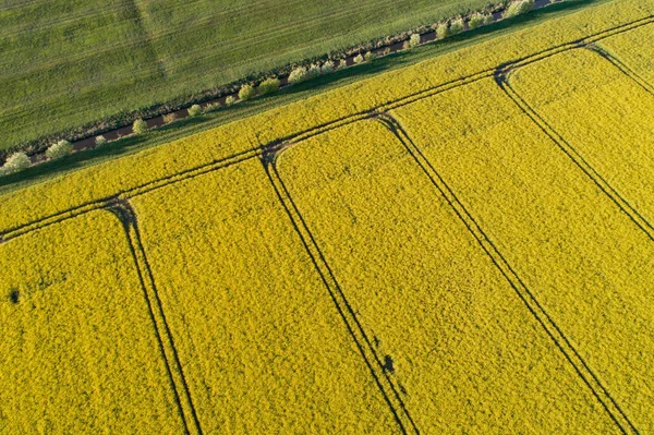 İnsansız hava araçları bir tecavüz alanının üzerinde uçuyor.