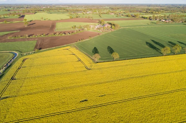 İnsansız hava araçları bir tecavüz alanının üzerinde uçuyor.