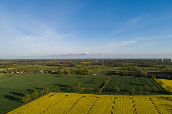 Drohnenflug Und Luftaufnahme Über Einem Rapsfeld — Stockfoto