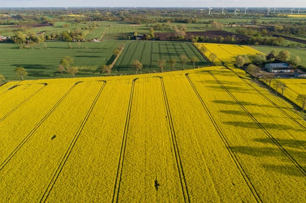 İnsansız hava araçları bir tecavüz alanının üzerinde uçuyor.