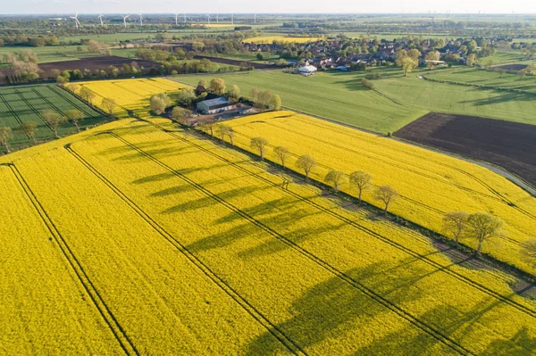 İnsansız hava araçları bir tecavüz alanının üzerinde uçuyor.