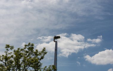 Hamburg Limanı Festivali'nde Dev Güçlendirici Rides Atlıkarınca