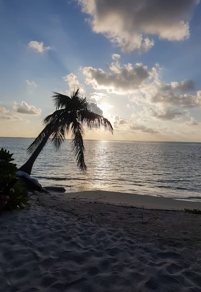 Wit Zand Turquoise Wateren Het Strand Van Indische Oceaan Malediven — Stockfoto