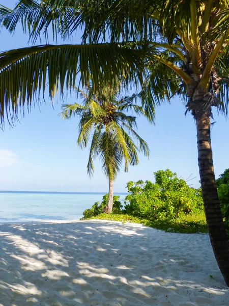 Arena Blanca Aguas Turquesas Playa Del Océano Índico Las Maldivas — Foto de Stock