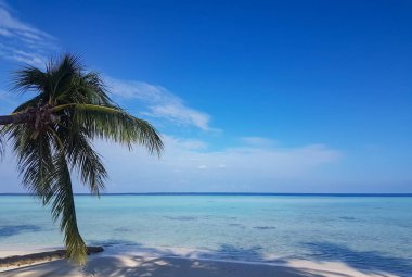 Maldivler Hint Okyanusu sahilde beyaz kum ve turkuaz suları