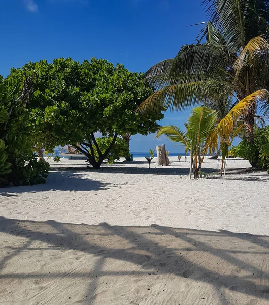 Sabbia Bianca Acque Turchesi Sulla Spiaggia Dell Oceano Indiano Alle — Foto Stock