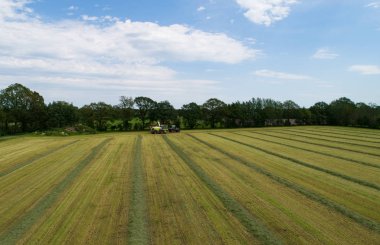 hayvan yemi için çim pirzola çim hasat ve traktör