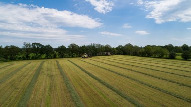 hayvan yemi için çim pirzola çim hasat ve traktör