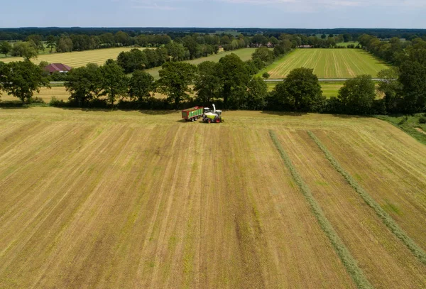 hayvan yemi için çim pirzola çim hasat ve traktör