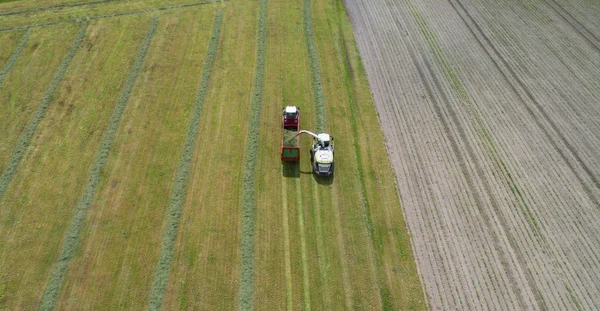 Kombajn Trawy Ciągnik Trawy Paszy Dla Zwierząt — Zdjęcie stockowe