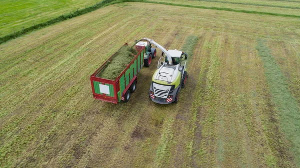 Rumput Pemanen Dan Traktor Rumput Memotong Untuk Pakan Hewan — Stok Foto