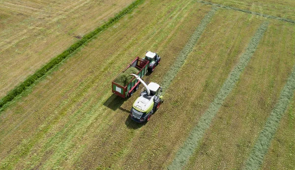 Cosechadora Hierba Tractor Chuleta Hierba Para Alimentación Animal — Foto de Stock