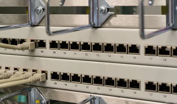 Network switch and network cable in a data center