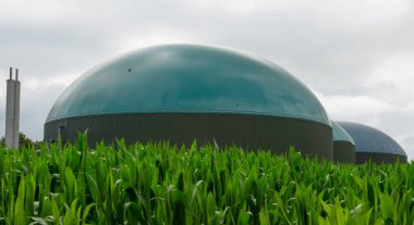Sırasında elektrik ve enerji üretmek için biyogaz tesisi 