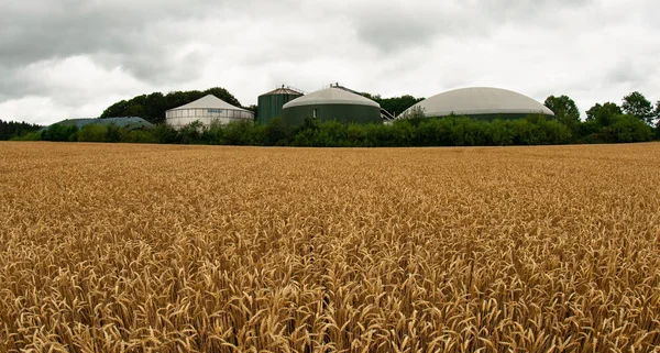 Sırasında elektrik ve enerji üretmek için biyogaz tesisi 
