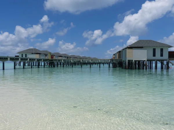 Maldivler Hint Okyanusu sahilde beyaz kum ve turkuaz suları