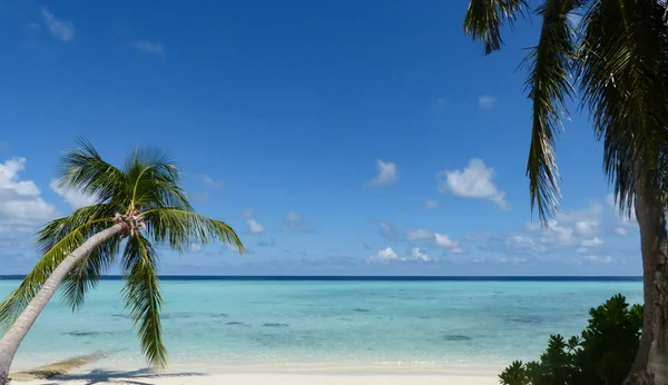 Sable Blanc Eaux Turquoise Sur Plage Océan Indien Aux Maldives — Photo