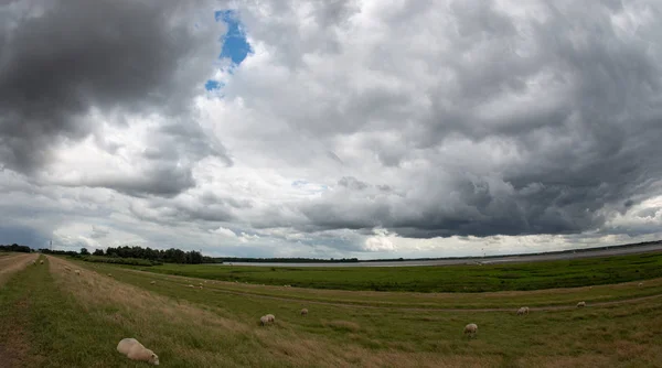 Roll cloud gathers to a storm in the sky