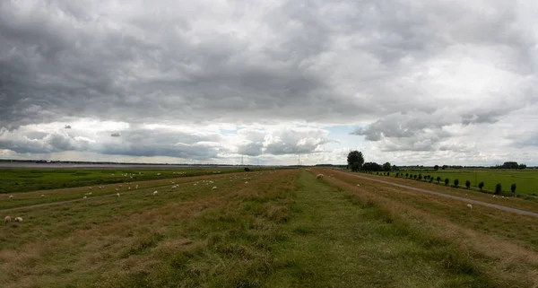 Roll Wolke Sammelt Sich Einem Sturm Himmel — Stockfoto