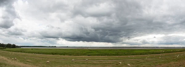 Roll cloud gathers to a storm in the sky