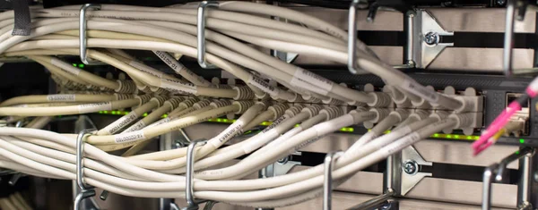 クラウド環境のネットワーク スイッチへのネットワーク ケーブル — ストック写真