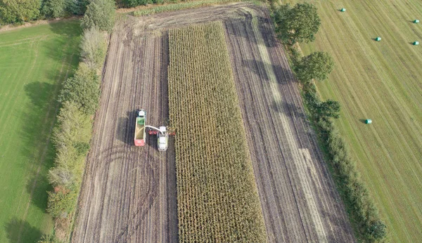 Cosechadora Maíz Cosechadora Maíz Acción Camión Cosecha Con Tractor —  Fotos de Stock