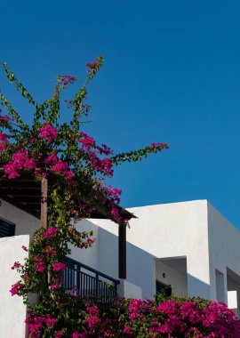 Yunanistan 'ın Kos Adası' ndaki Yunan Evlerinin Mimari Detayları