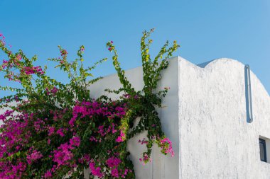 Yunanistan 'ın Kos Adası' ndaki Yunan Evlerinin Mimari Detayları