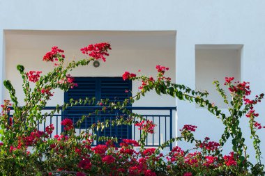 Yunanistan 'ın Kos Adası' ndaki Yunan Evlerinin Mimari Detayları