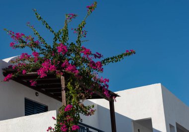 Yunanistan 'ın Kos Adası' ndaki Yunan Evlerinin Mimari Detayları