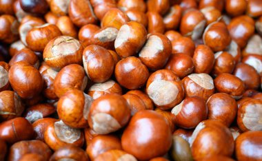 Arka plan olarak bir yığın kestane
