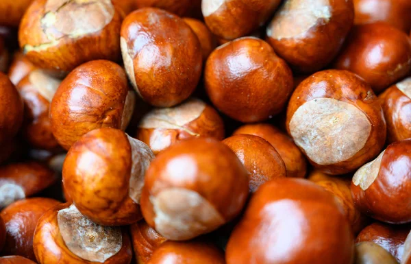 Chestnuts Heap Background — Stock Photo, Image