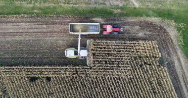 Mısır hasadı, mısır tarlası hasat aracı, traktörlü hasat kamyonu.