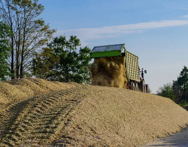 Cultivo Maíz Pila Ensilado Maíz Con Tractor Atascado — Foto de Stock