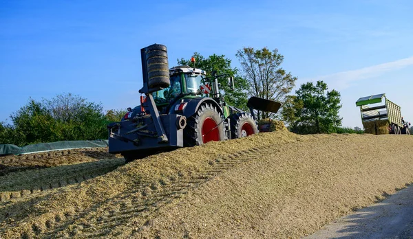 Corn Crop Corn Silage Pile Tractor Stuck — Stock Photo, Image