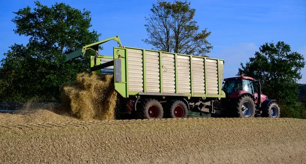 Kukoricatermés Kukorica Szilázs Halom Traktorral — Stock Fotó