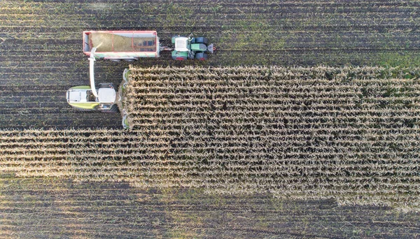 Cosechadora Maíz Cosechadora Maíz Acción Camión Cosecha Con Tractor — Foto de Stock