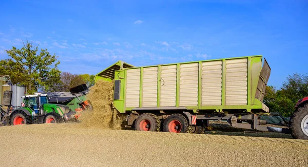 Maïs Gewas Maïs Silage Stapel Met Trekker Vast — Stockfoto