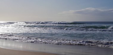 Güney Afrika 'nın Güney Atlantik kıyıları Simons kasabasındaki Boulders Sahili' nde