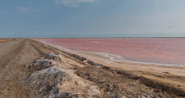 Walvis Körfezi, Namibya Güney Afrika 'daki tuzlu göl suyu.