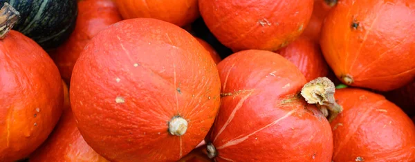 Abóbora Ação Graças Para Venda Mercado — Fotografia de Stock