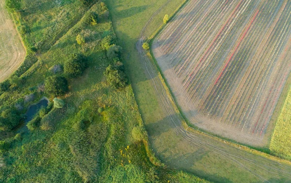 Drones Vista Aérea Vários Campos Agrícolas Schleswig Holstein — Fotografia de Stock