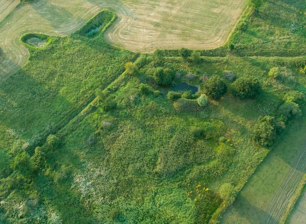 Holstein Holstein eyâletinde çeşitli tarım alanlarının insansız hava araçları görüntüsü