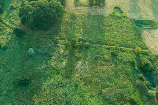 Drones Αεροφωτογραφία Διαφόρων Γεωργικών Πεδίων Στο Schleswig Holstein — Φωτογραφία Αρχείου