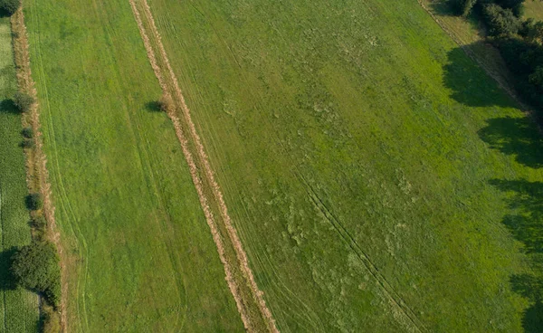 ドローンシュレースヴィヒ ホルシュタイン州の様々な農業分野の空中ビュー — ストック写真